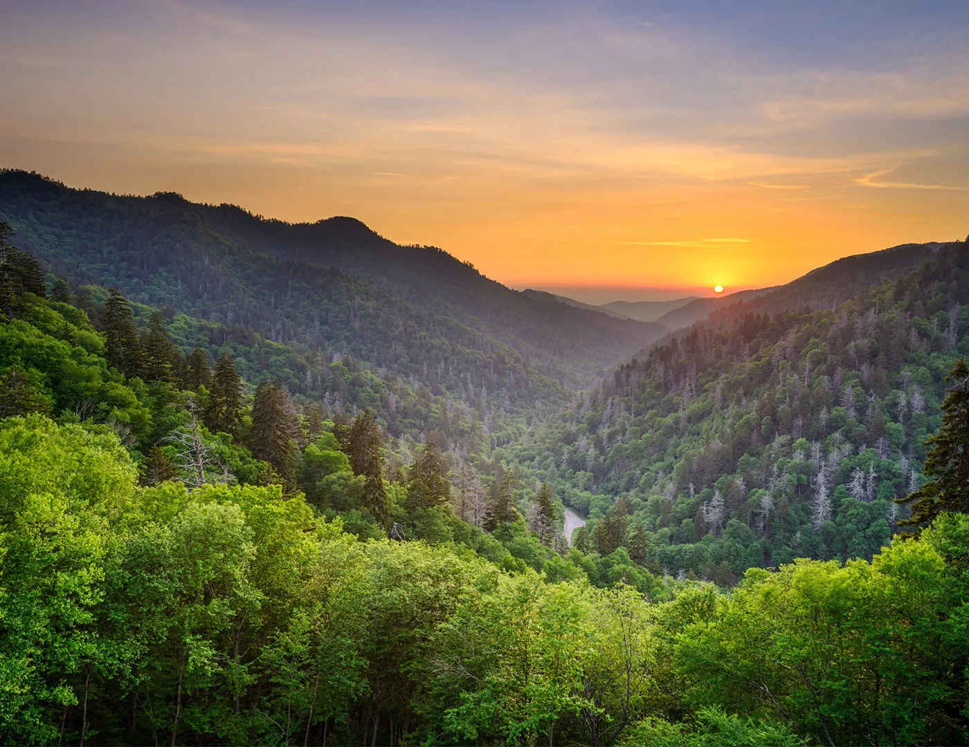 Great Smoky Mountains National Park vista